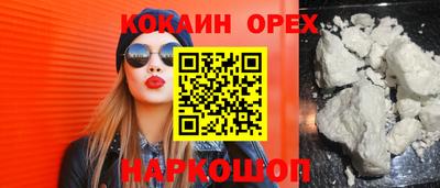 гашик Аргун