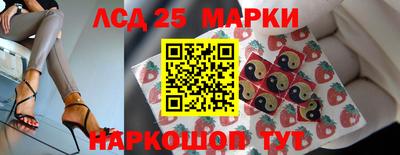 гашик Аргун
