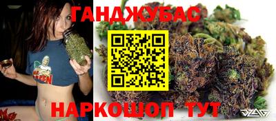 гашик Аргун