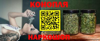 гашик Аргун