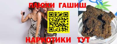 гашик Аргун