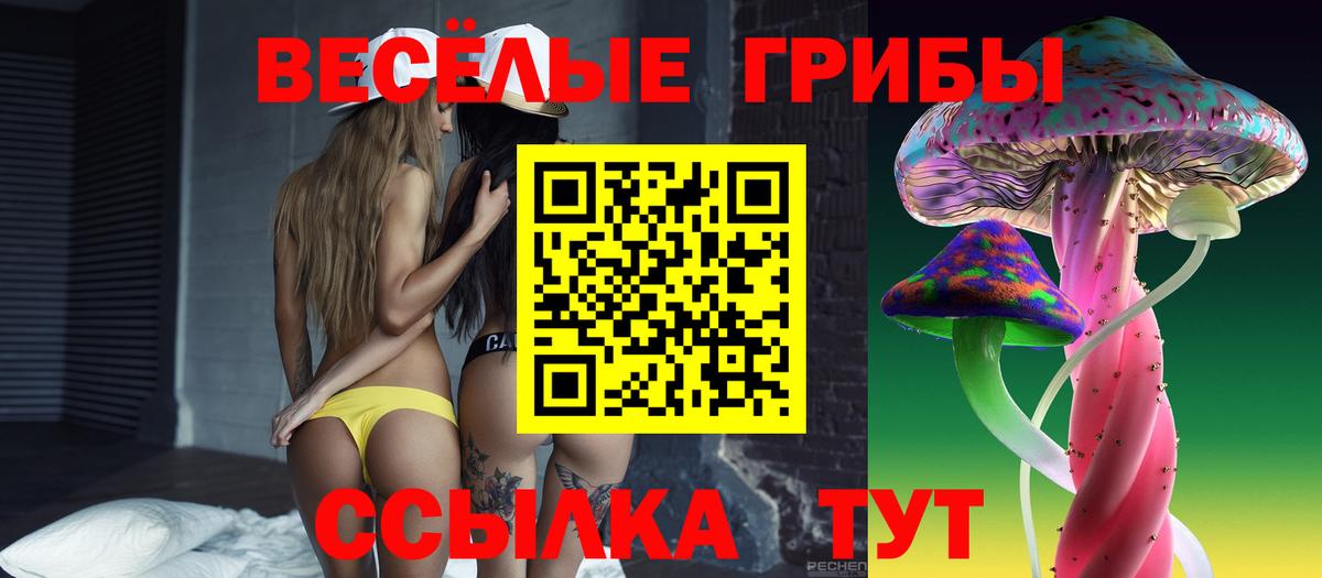 Галлюциногенные грибы Magic Shrooms  Псилоцибиновые грибы Psilocybe  Вход с VPN  Всеволожск 